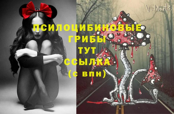 сатива Липки