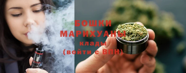 прущие грибы Тольятти