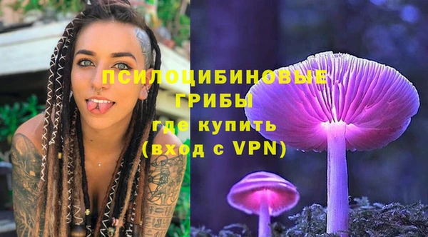 сатива Липки