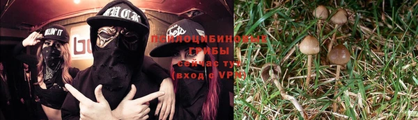 сатива Липки