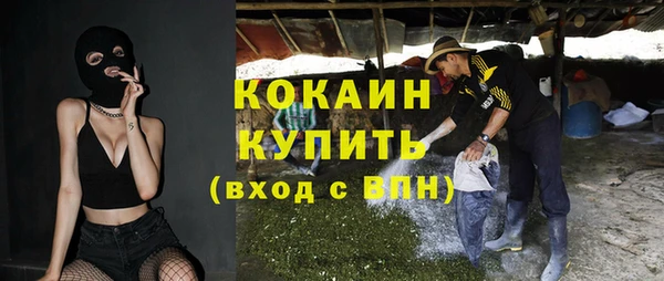 прущие грибы Тольятти