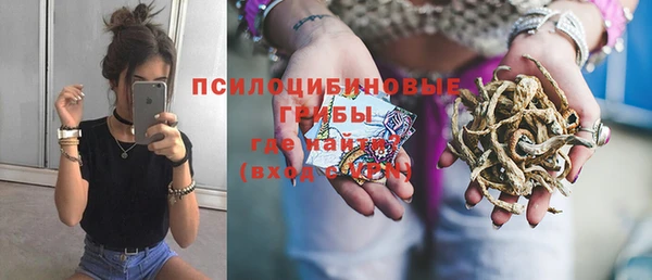 сатива Липки