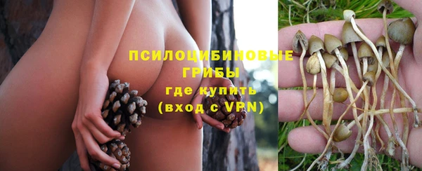 сатива Липки