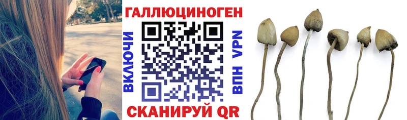 darknet как зайти  Осинники  Псилоцибиновые грибы мухоморы 