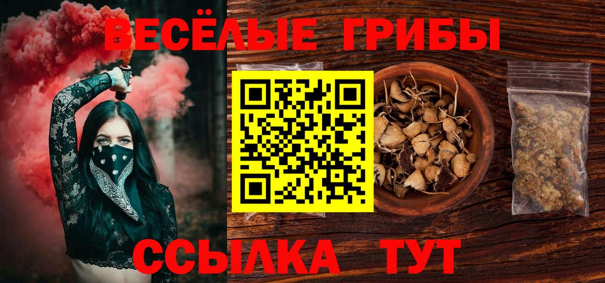 Галлюциногенные грибы мухоморы  где можно купить наркотик  Вход с VPN  Осинники  Псилоцибиновые грибы мицелий 