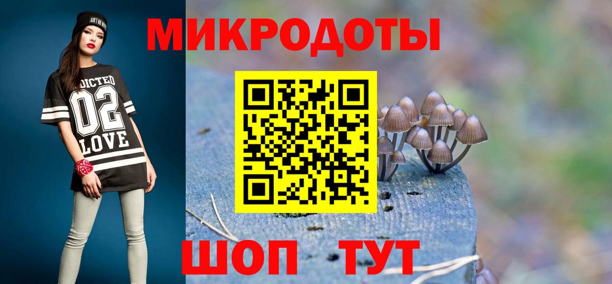 Галлюциногенные грибы Psilocybe Осинники